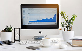 开云官网-尼克斯鏖战塞尔维亚男篮，巴恩斯爆发神勇