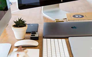 开云官网-尼克斯鏖战塞尔维亚男篮，巴恩斯爆发神勇