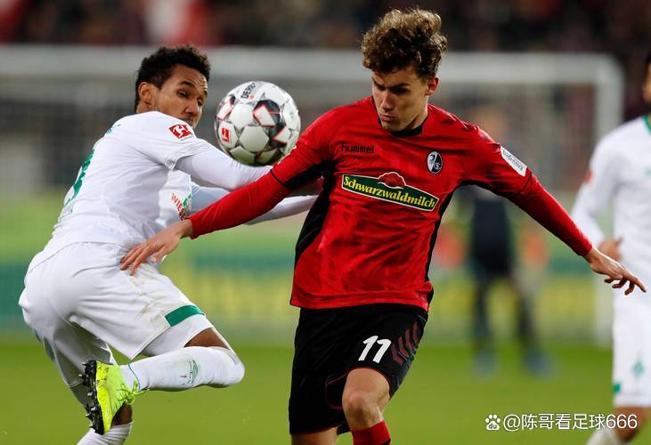 波鸿主场击败弗赖堡,喜迎胜利的简单介绍 波鸿主场击败弗赖堡,喜迎胜利的简单介绍