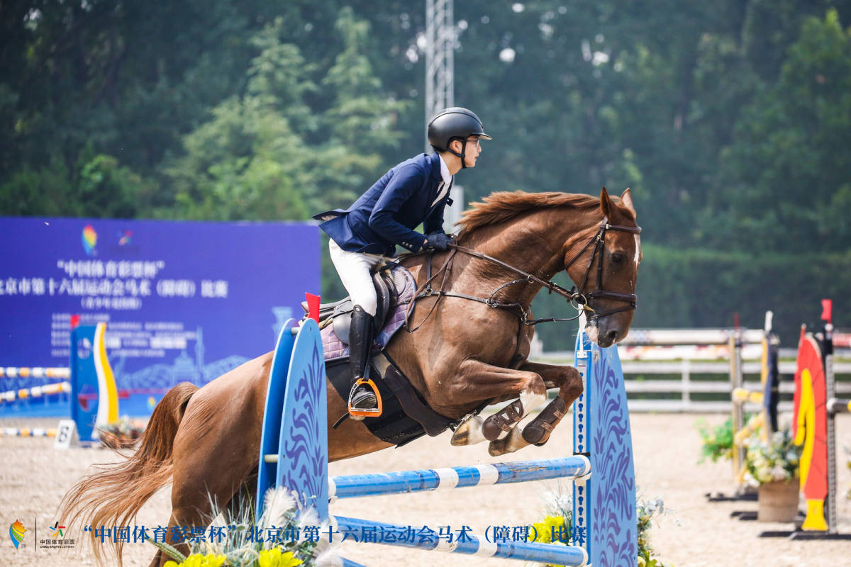 卢森堡代表团选手在马术比赛中取得佳绩的简单介绍 卢森堡代表团选手在马术比赛中取得佳绩的简单介绍