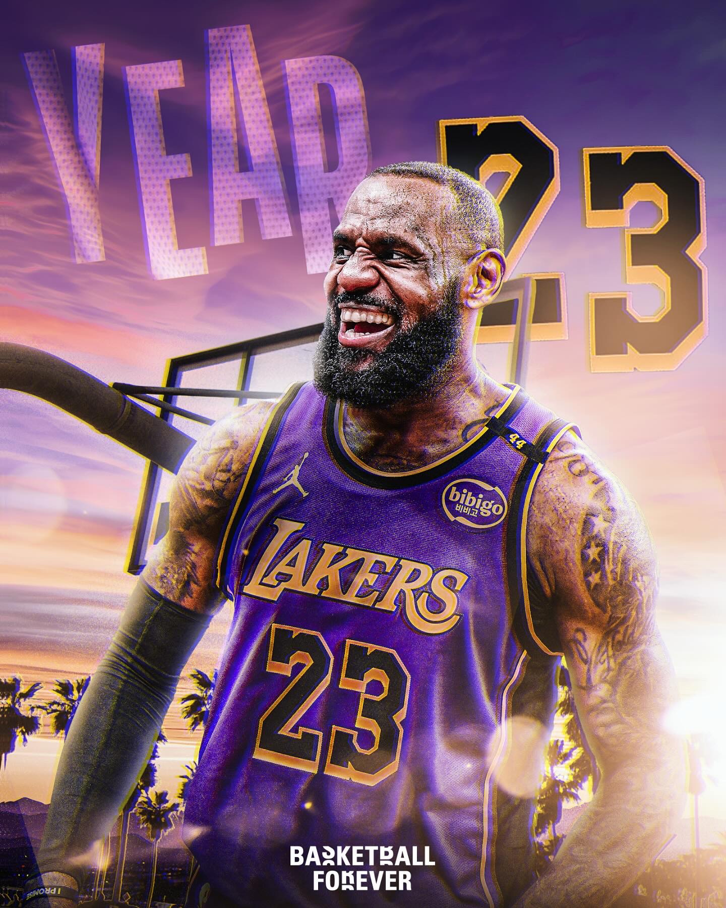 开云下载-排球明星詹姆斯将晋级的简单介绍