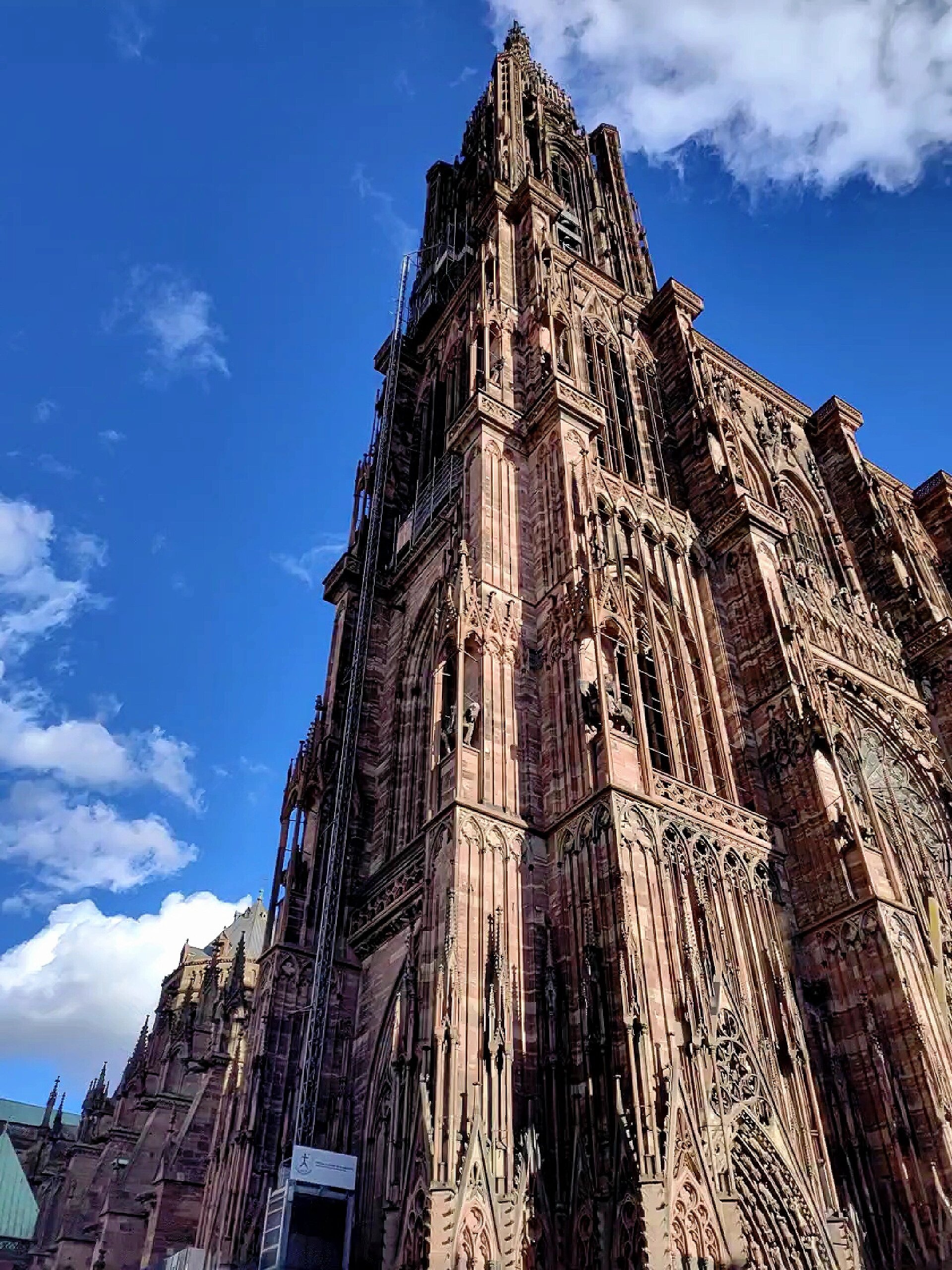 巴黎圣日耳曼大胜斯特拉斯堡 巴黎圣日耳曼大胜斯特拉斯堡